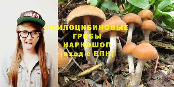 крисы Волоколамск
