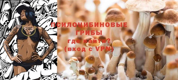 apvp Покачи